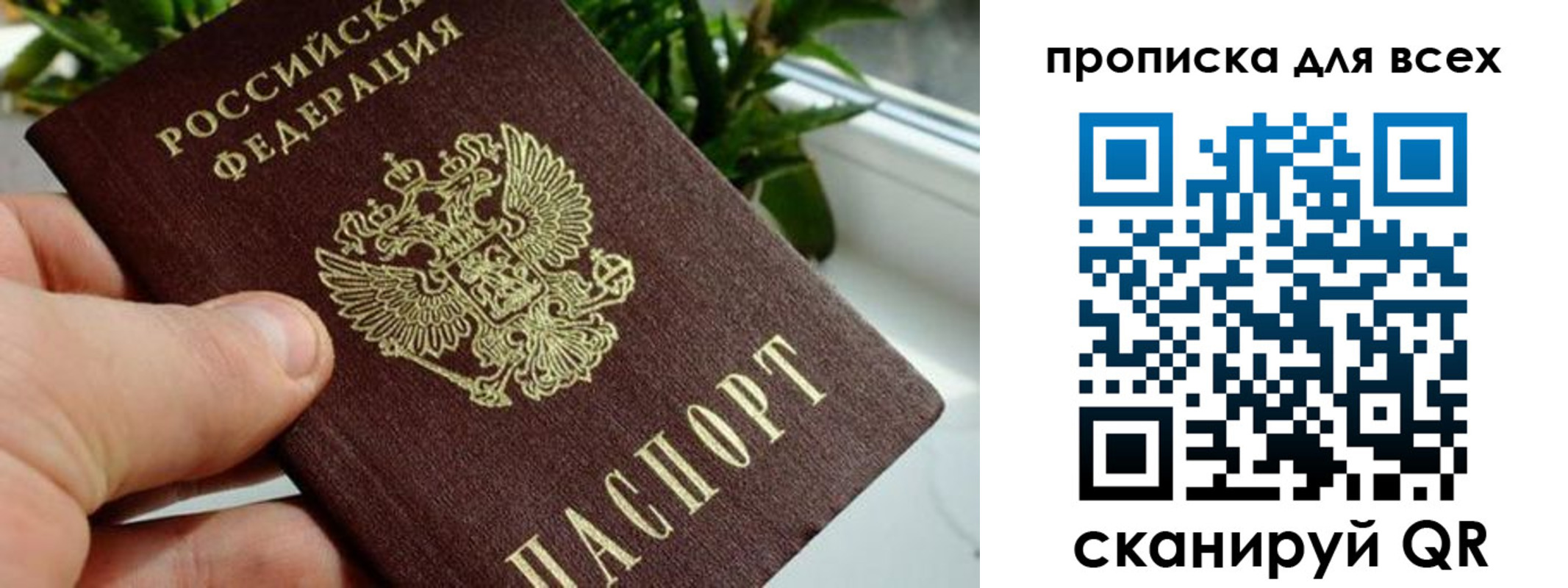 временная регистрация в квартире в Боровичах